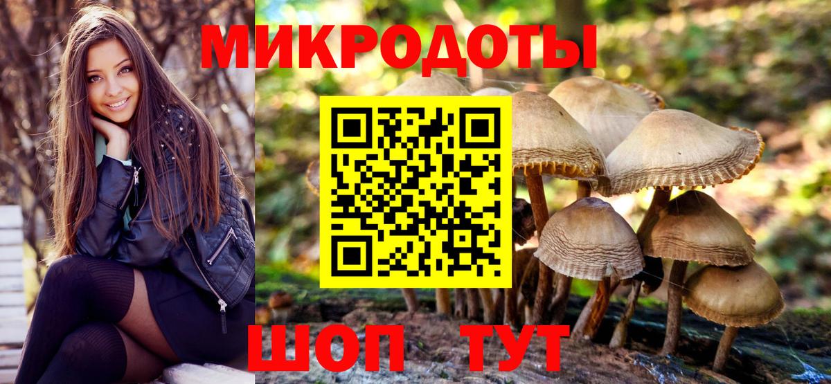 Галлюциногенные грибы Cubensis  Вход с VPN  Зеленогорск 
